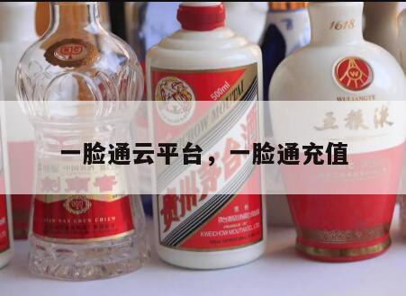 一脸通云平台，一脸通充值