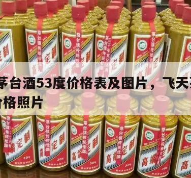 飞天茅台酒53度价格表及图片，飞天茅台53度价格照片
