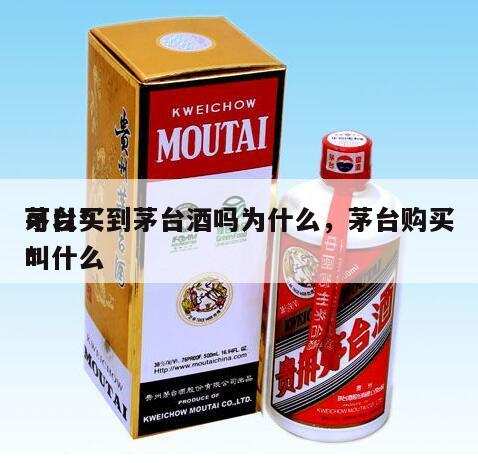 茅台*
可以买到茅台酒吗为什么，茅台购买*
叫什么