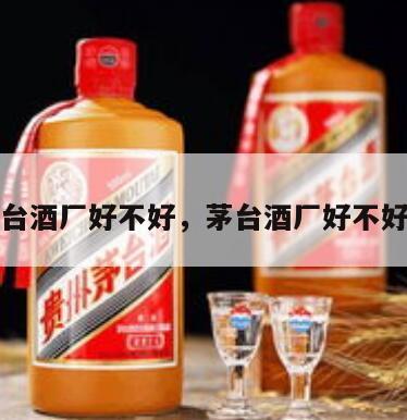 茅台酒厂好不好，茅台酒厂好不好进