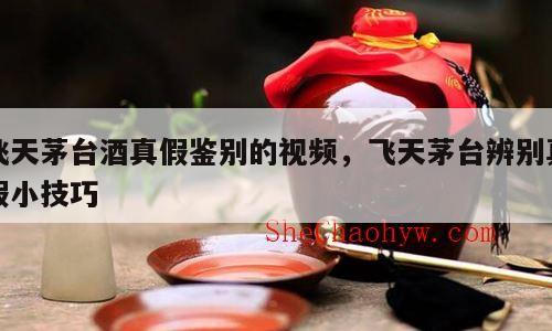 飞天茅台酒真假鉴别的视频，飞天茅台辨别真假小技巧