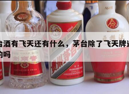 茅台酒有飞天还有什么，茅台除了飞天牌还有别的吗