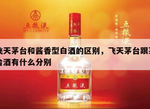 飞天茅台和酱香型白酒的区别，飞天茅台跟茅台酒有什么分别