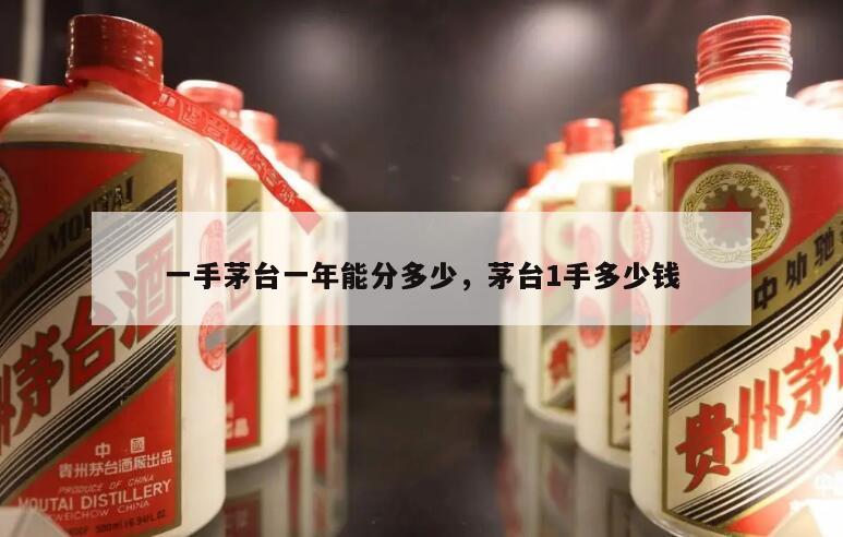 一手茅台一年能分多少，茅台1手多少钱