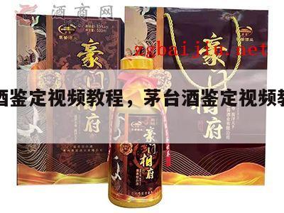 茅台酒鉴定视频教程，茅台酒鉴定视频教程全集