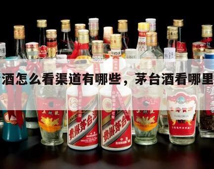 茅台酒怎么看渠道有哪些，茅台酒看哪里是真的