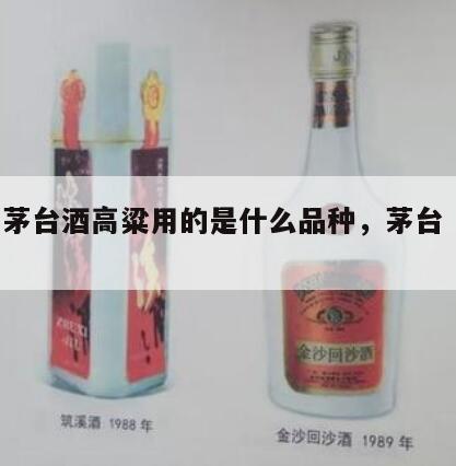 贵州茅台酒高粱用的是什么品种，茅台 高粱酒