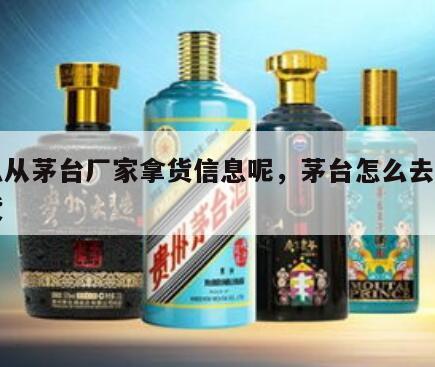怎么从茅台厂家拿货信息呢，茅台怎么去酒厂拿货