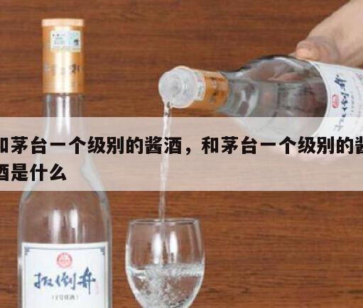 和茅台一个级别的酱酒，和茅台一个级别的酱酒是什么