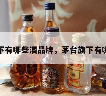 茅台旗下有哪些酒品牌，茅台旗下有哪些酒厂
