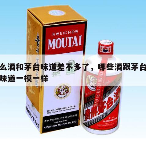 什么酒和茅台味道差不多了，哪些酒跟茅台酒的味道一模一样
