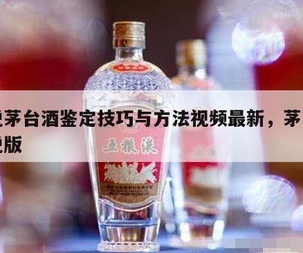 免税茅台酒鉴定技巧与方法视频最新，茅台酒免税版