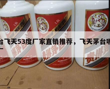 茅台飞天53度厂家直销推荐，飞天茅台哪个酒厂
