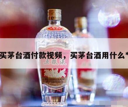 买茅台酒付款视频，买茅台酒用什么*
