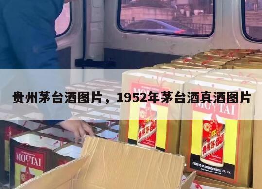 贵州茅台酒图片，1952年茅台酒真酒图片