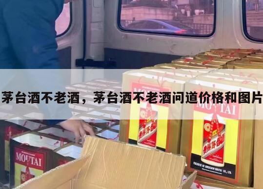 茅台酒不老酒，茅台酒不老酒问道价格和图片