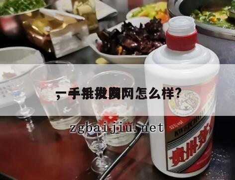 一手批发网*
，一手批发网怎么样?