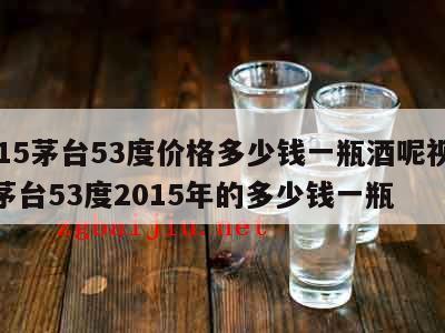 2015茅台53度价格多少钱一瓶酒呢视频，茅台53度2015年的多少钱一瓶