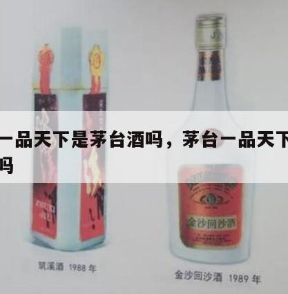 茅台一品天下是茅台酒吗，茅台一品天下是茅台酒吗