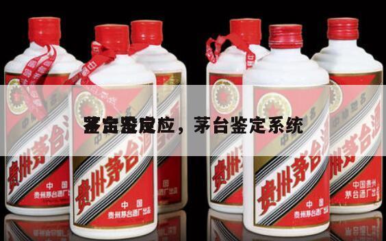 茅台鉴定*
鉴定没反应，茅台鉴定系统