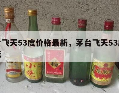 茅台飞天53度价格最新，茅台飞天53度价格表