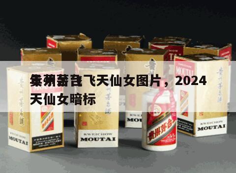 贵州茅台飞天仙女图片，2024
年茅台飞天仙女暗标