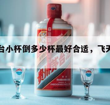 飞天茅台小杯倒多少杯最好合适，飞天茅台小杯子