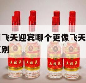 茅台王子和飞天迎宾哪个更像飞天,茅台王子迎宾飞天区别