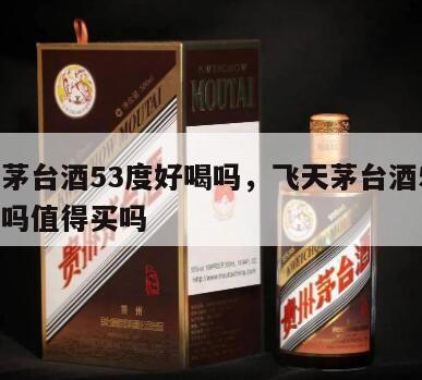 飞天茅台酒53度好喝吗,飞天茅台酒53度好喝吗值得买吗
