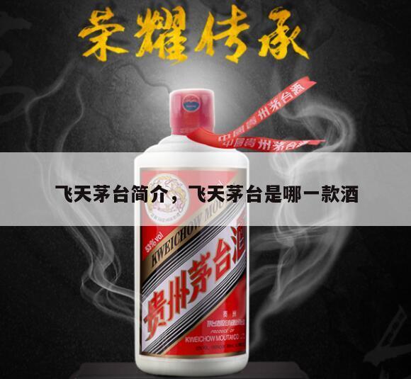 飞天茅台简介,飞天茅台是哪一款酒