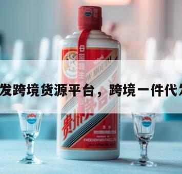 一件代发跨境货源平台，跨境一件代发货源*
