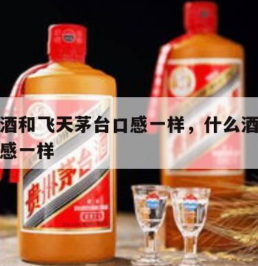 有什么酒和飞天茅台口感一样,什么酒与飞天茅台口感一样