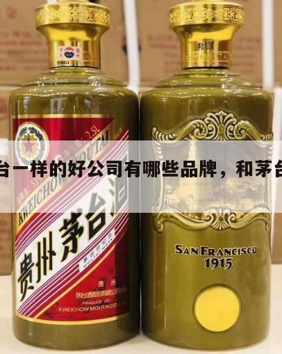 和茅台一样的好公司有哪些品牌，和茅台一样的酒